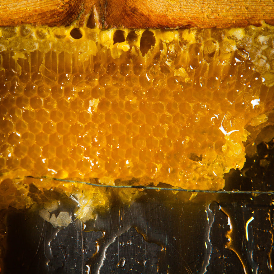 Debunking the Buzz: Original Pure Honey Myths You Need to Know